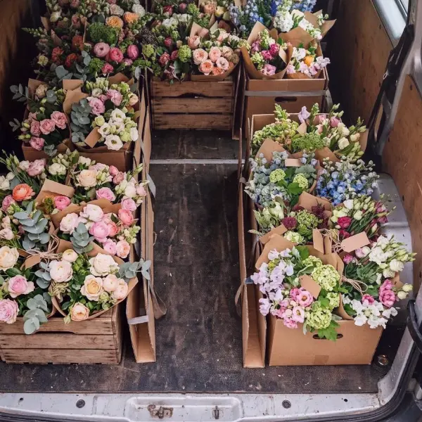 Calm Rock — Regionale Blumen: Vorteile und Tipps